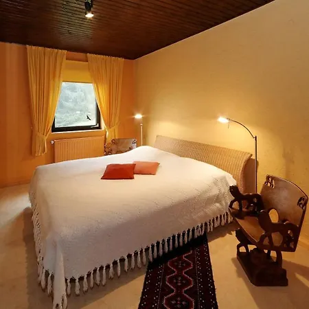 Grosse Chagall Am Duschlberg - Dreilaendereck Apartamento *